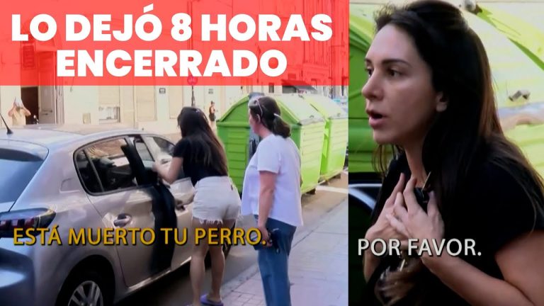 Rosario: dejó a su perro encerrado en el auto, el animal murió y ella terminó detenida