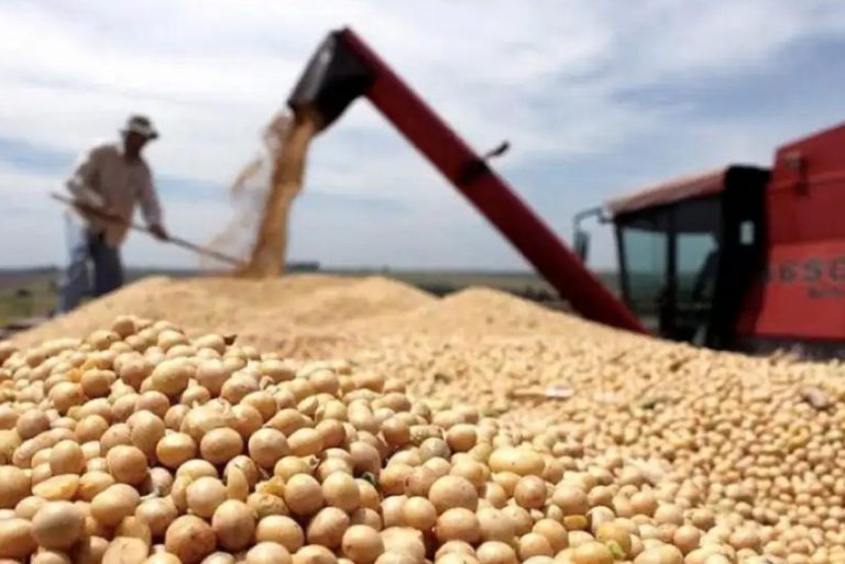 Tres empresas del agro se declararon en default y hay tensión en la cadena de pagos