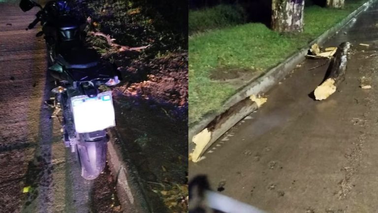 Volvía en moto del Festival de Jesús María, le cayó la rama de un árbol en la cabeza y murió