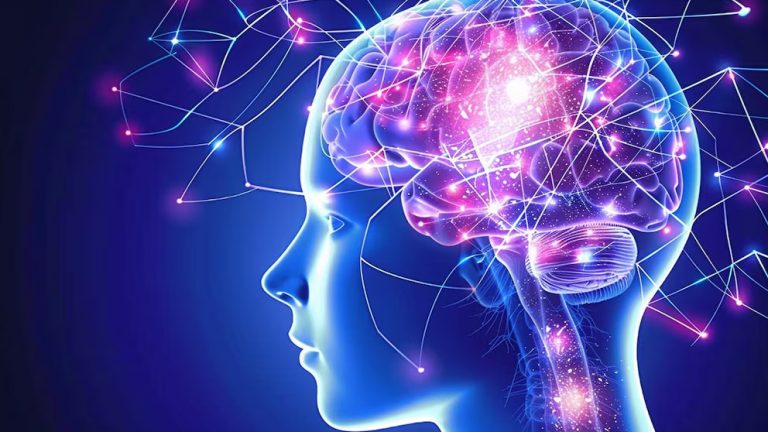 Claves para un envejecimiento saludable: 4 hábitos diarios que mantienen al cerebro joven