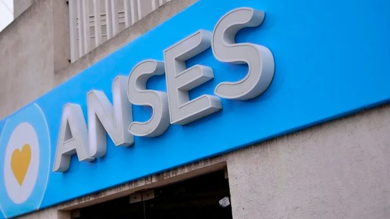 De cuánto es la PUAM de ANSES en enero 2025