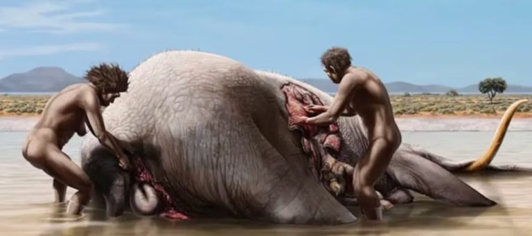 Un nuevo estudio sobre restos de alimentos de hace 780 mil años cambió lo que se sabía sobre la dieta prehistórica