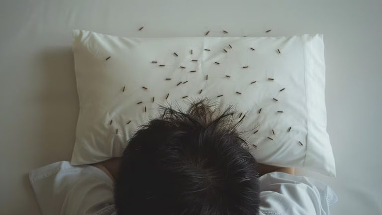 Piojos y liendres: cuánto viven, cómo se desplazan y de qué forma eliminarlos rápido