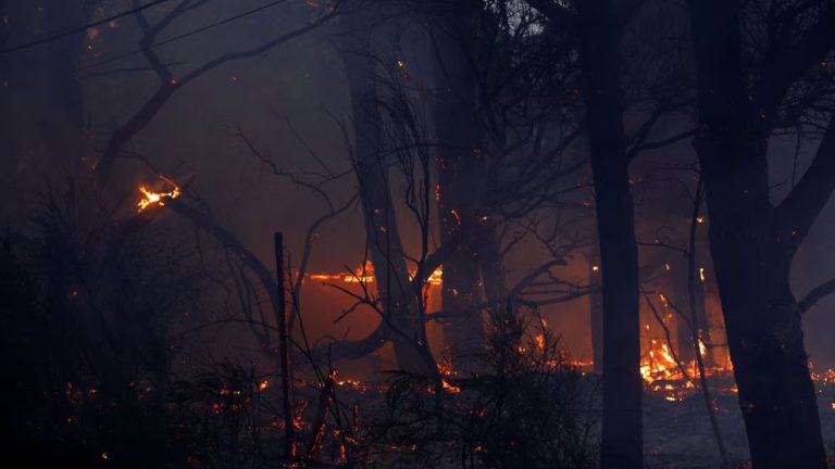 Luego de las amenazas de Jones Huala, los mapuches iniciaron nuevos incendios en Chubut