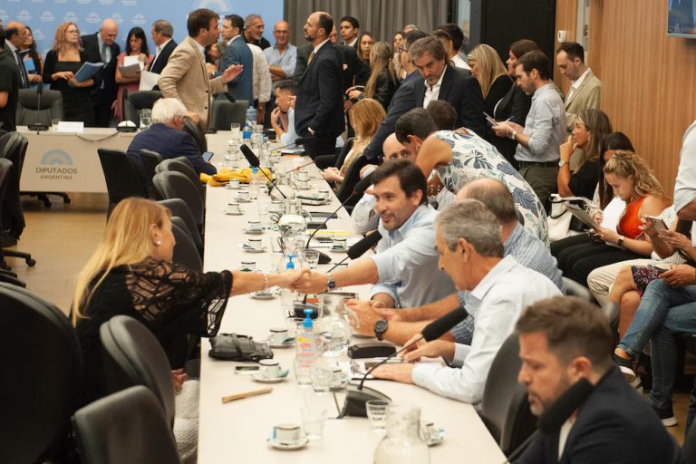 Suspensión de las PASO: el Gobierno ya piensa en los votos para el recinto y define la estrategia en el Senado