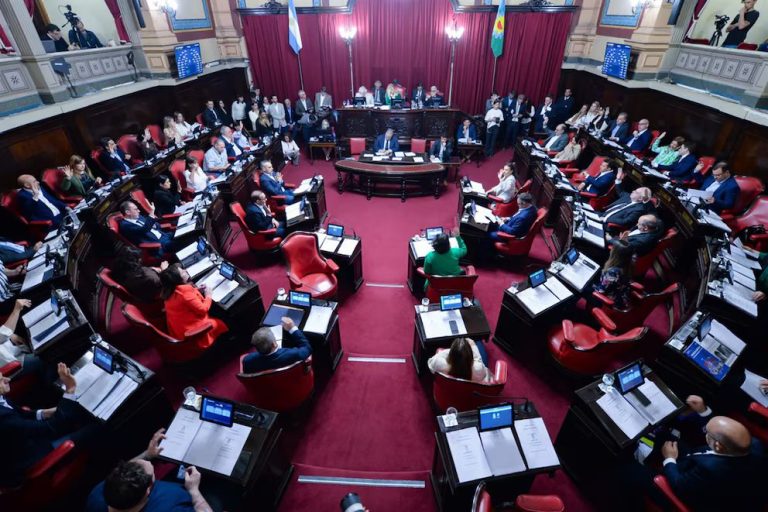 Fuertes críticas de la oposición y del Frente Renovador a la media sanción de las reelecciones indefinidas