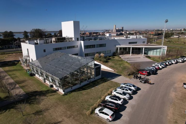Otro caso de default en el agro: Bioceres incumplió vencimientos de pagarés y empieza a reestructurar su deuda