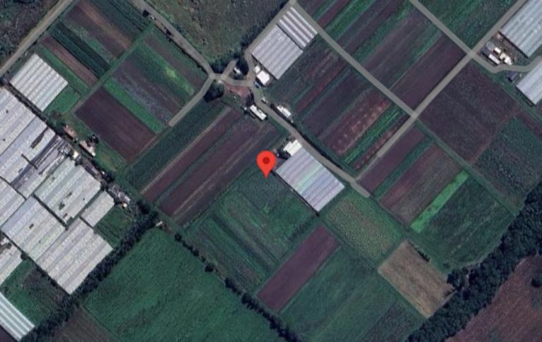 Horror en La Plata: un chico de dos años fue hallado muerto y cubierto de mordeduras