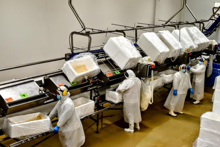 La acuicultura puede generar 22 millones de nuevos empleos en el mundo e inversiones por USD 1.5 billones para el 2050