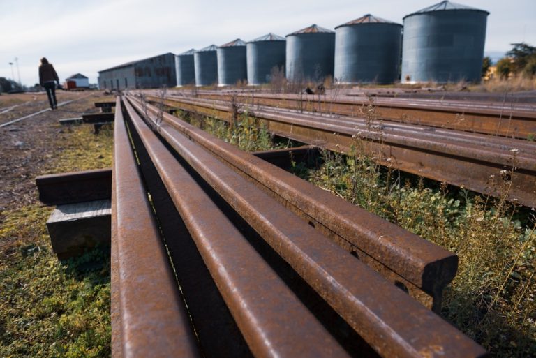 Fuerte caída de la liquidación del agro: el ingreso de divisas fue 25% menor al de agosto del año pasado