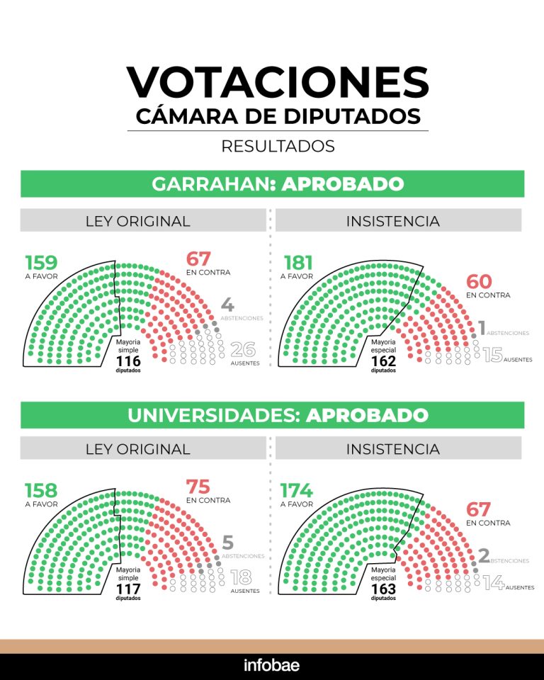 Uno por uno: así votaron los diputados el rechazo a los vetos de las leyes de Financiamiento Universitario y de Emergencia en Pediatría